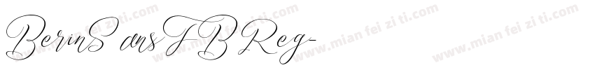 BerinSansFB Reg字体转换